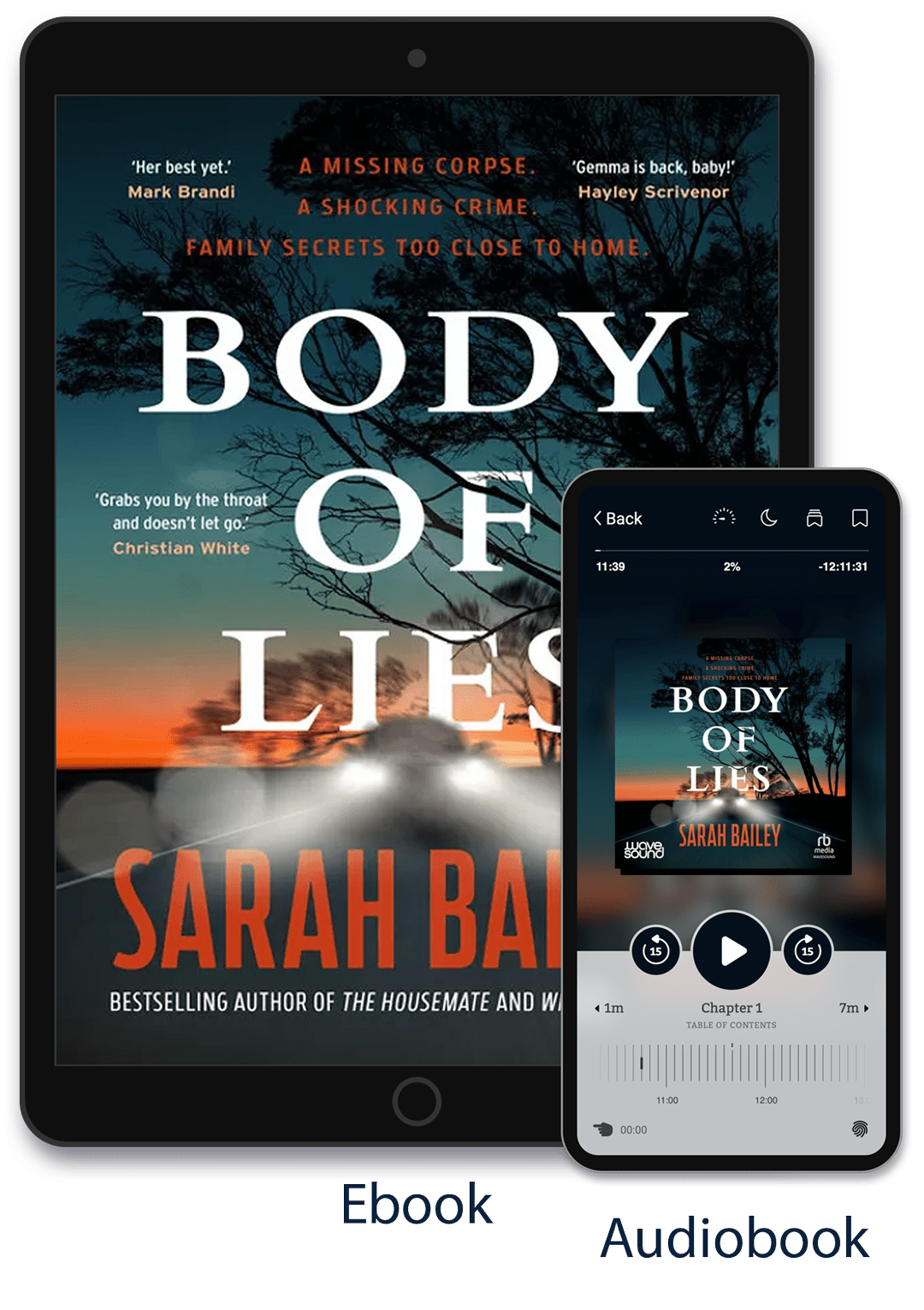 Body of Lies book cover